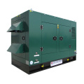 10KVA -1000KVA Soundproof biogas generator with cummins engine